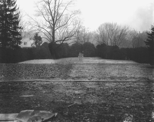 North Vista, planted with boxwood, c. 1930 North Vista, planted with boxwood, c. 1930