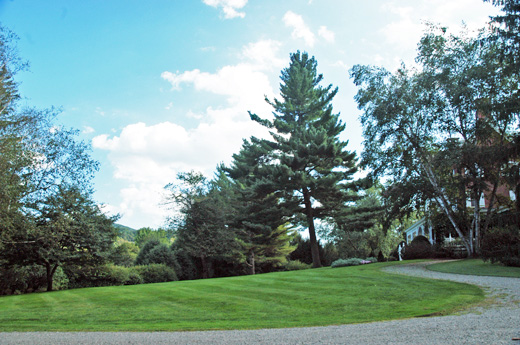 Entrance drive Entrance drive, Billings mansion