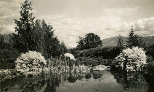 Richly planted irrigation ponds Richly planted irrigation ponds