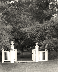 Latimeria Gates (Entrance to Pinetum) Latimeria Gates (Entrance to Pinetum)