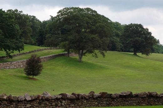 Tranquillity Farm