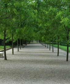 Miller House allée