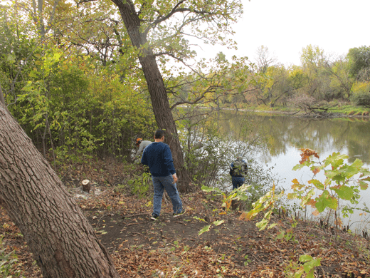 Riverside residents volunteer to maintain their shared greenspaces