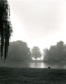 View to Bird Island