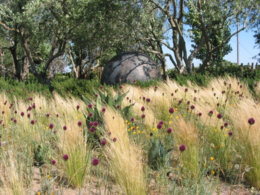 The Garden of Contrasts