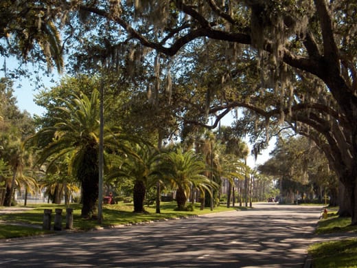 Venice Avenue, Venice, Fla.