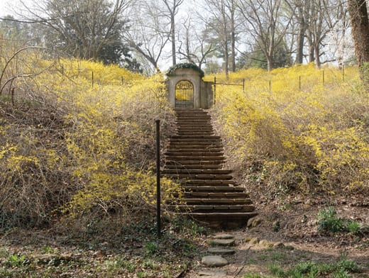 Dumbarton Oaks Park, Georgetown, D.C.