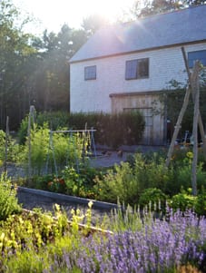 Studio from garden Studio from garden