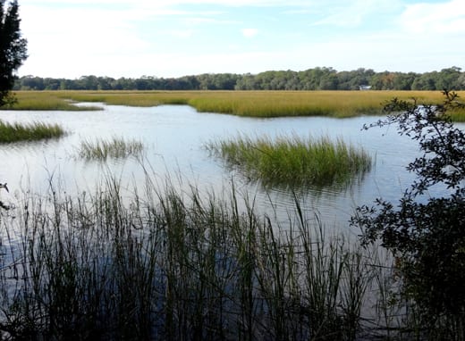 Jones Salt Marsh