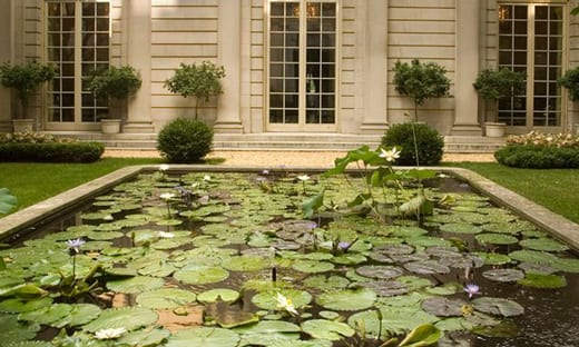 Garden Lake window