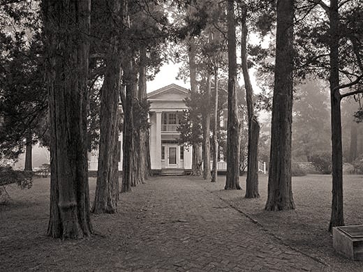 Rowan Oak, Oxford, MS. Photograph by Ed Croom.