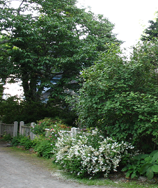 Corner of the front entrance garden Corner of the front entrance garden