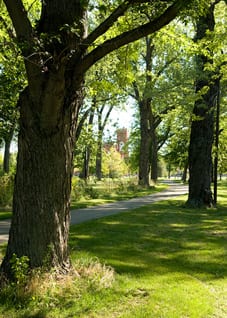 Martin Luther King Jr. Park