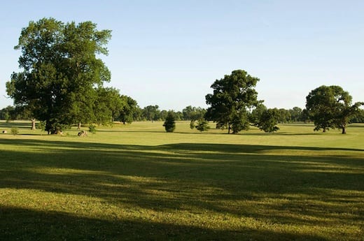 Delaware Park Meadow