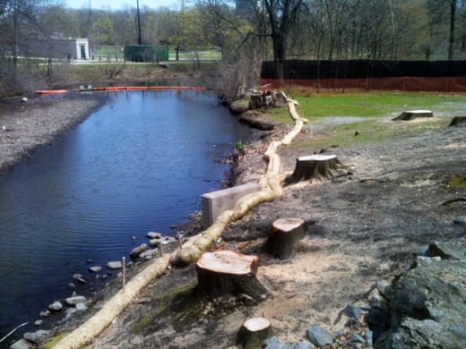 Muddy River restoration underway, April 2013 Muddy River restoration underway, April 2013
