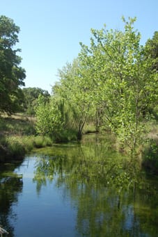 Honeycut Creek C. L. Browning Ranch