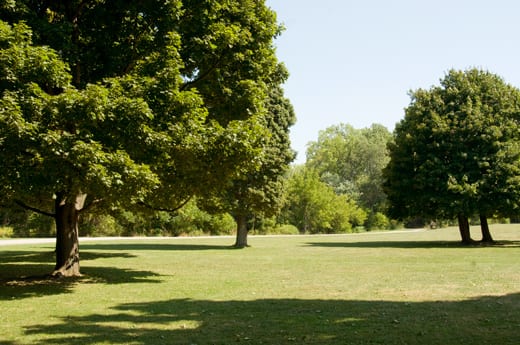 Cazenovia Park.