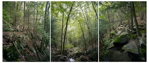 Harry above Briggs Brook Falls