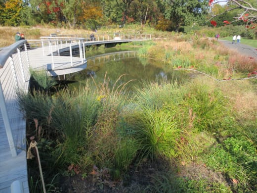 Native Flora Garden in October, 2013