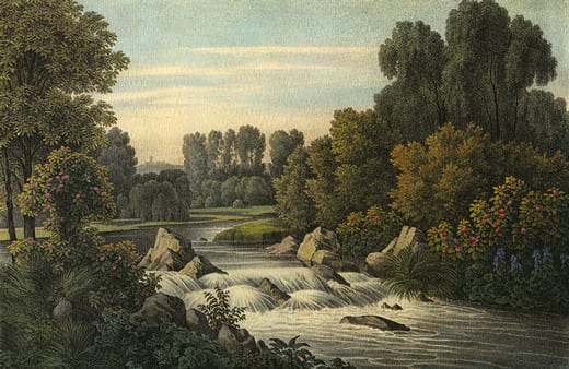 PLATE VIII PLATE VIII
