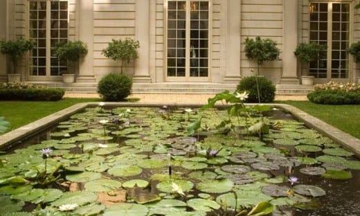 Garden Lake window