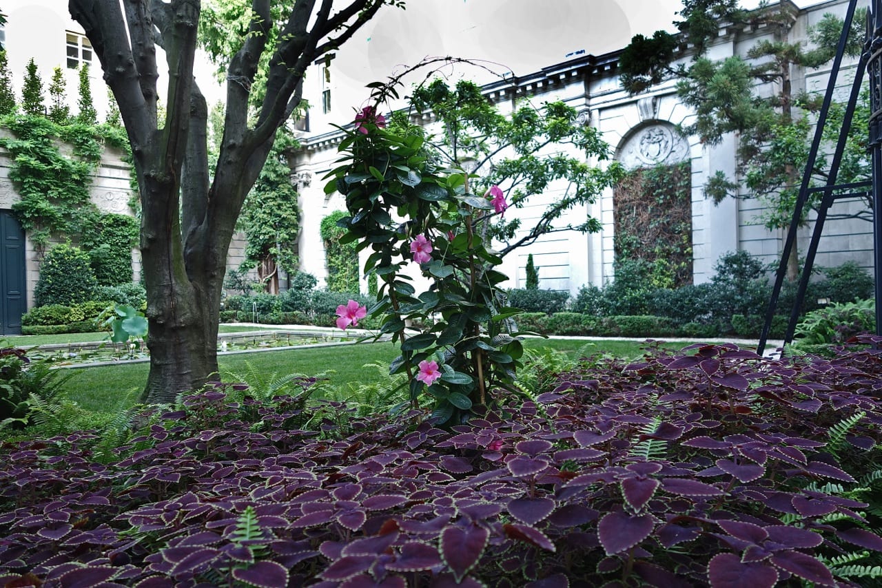 Frick Garden from the street