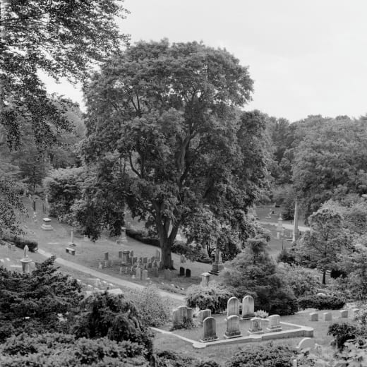 View from Mountain Avenue, below Washington Tower, Mount Auburn Cemetery. Boston, MA. Photograph by Carol Betsch, 2005.