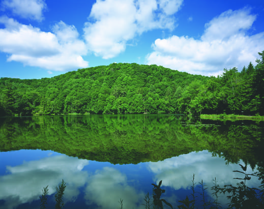 The Pogue, Marsh-Billings-Rockefeller National Historical Park. Woodstock, VT. Photograph by Carol Betsch, 2014.