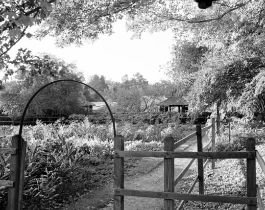 Reynolda Library Of American Landscape History