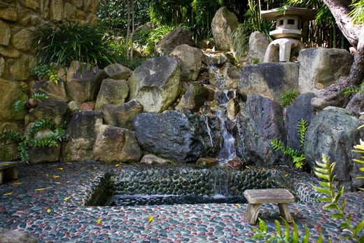 Lalh Blog Update Future Of Hannah Carter Japanese Garden Unresolved