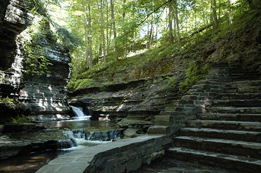 Finger Lakes Region State Parks Ithaca New York Library