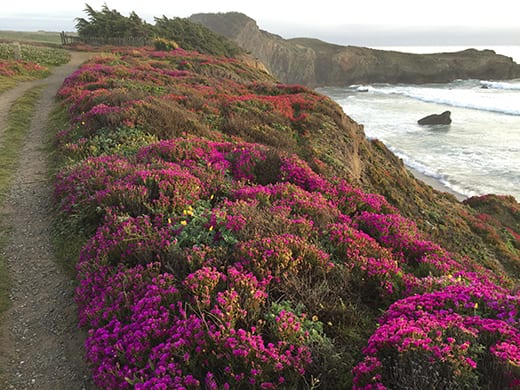 Photograph by Chris Thompson.