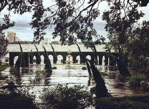 05_submerged garden