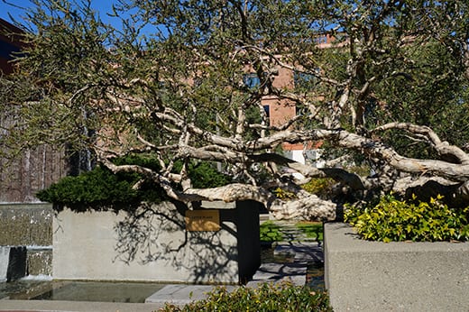 Levi Strauss Plaza – Library of American Landscape History | LALH