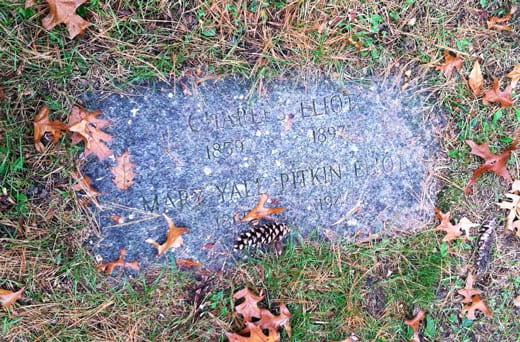 Charles Eliot's Grave