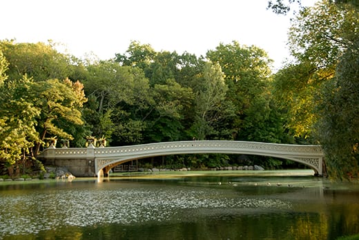 Bow Bridge, Central Park. Photograph by Sara Cedar Miller.
