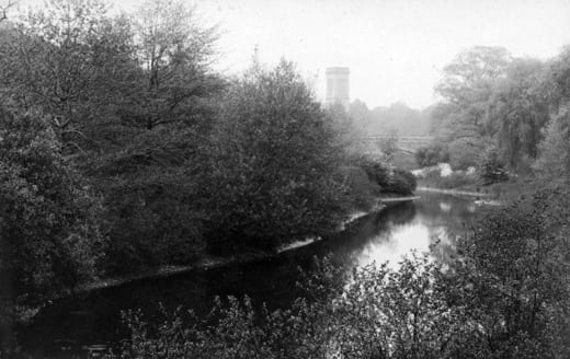 View from the Longwood Bridge of the Muddy River improvement after plantings had matured (1907)