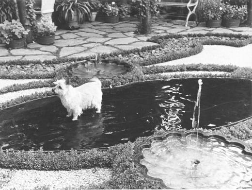 Afternoon Garden, c. 1940