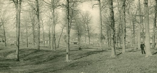 Dunn’s Woods, Indiana University, Bloomington, 1891. 