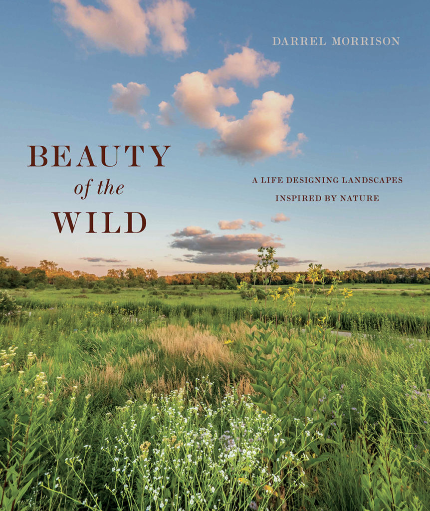 Beauty of the Wild Book Cover
