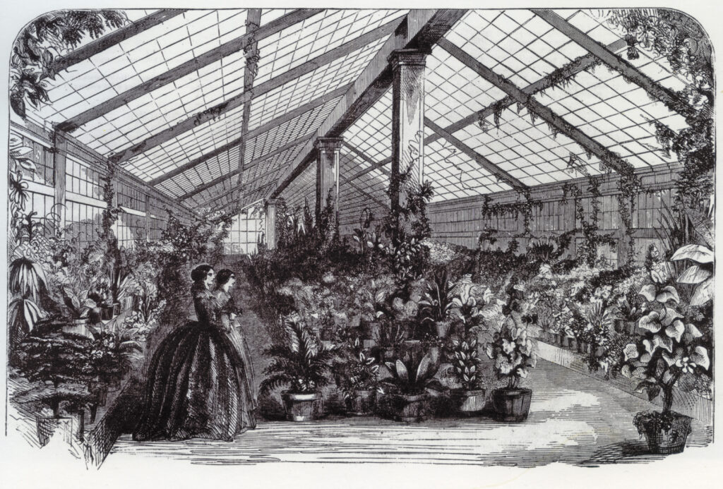 White House Conservatory, added by Harriet Lane, niece of President James Buchanan (from Leslie’s Illustrated Newspaper). From Glass Houses.